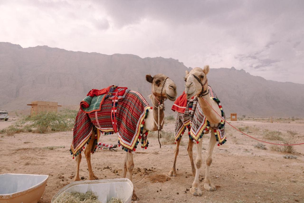 Pura Eco Retreat, Jebel Hafit Desert Park El Ayn Dış mekan fotoğraf